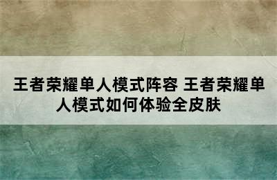 王者荣耀单人模式阵容 王者荣耀单人模式如何体验全皮肤